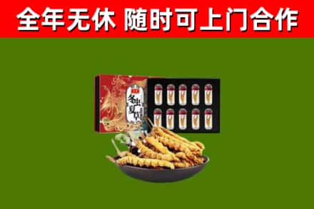 红河回收冬虫夏草价格